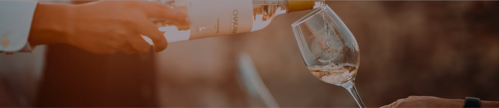 Photo representing a person serving a glass of wine